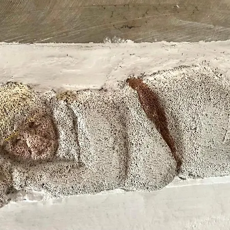 Tatil Evi Du Coustal, Cajarc, Lot Cajarc