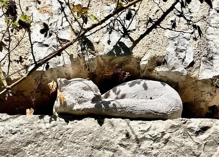 Du Coustal, Cajarc, Lot Дом отдыха *